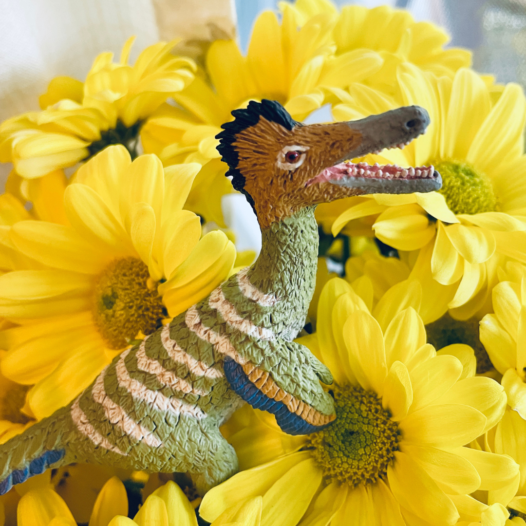 Austroraptor Toy Dinosaur Figure