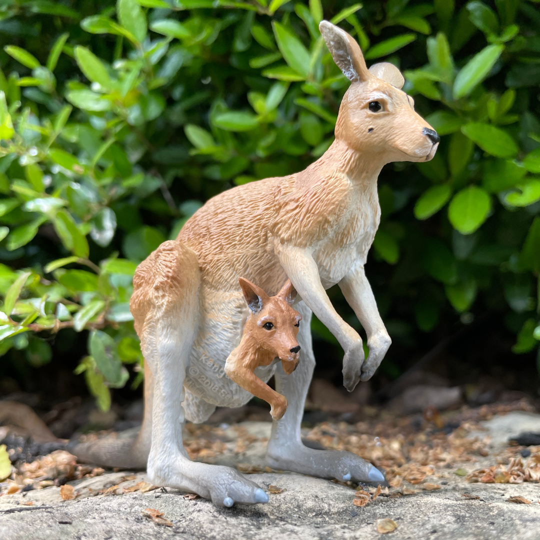 Kangaroo with Joey Toy