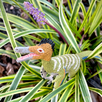 Austroraptor Toy Dinosaur Figure