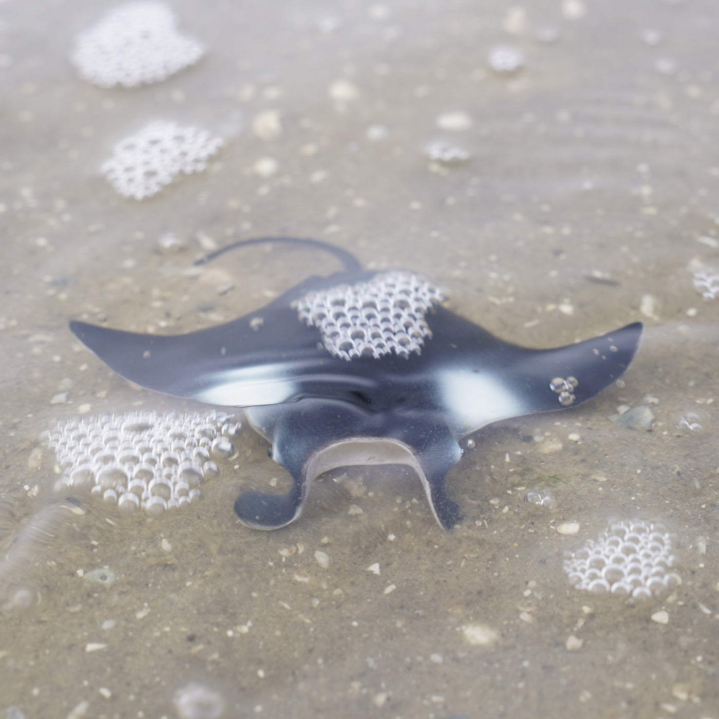 Manta Ray Toy