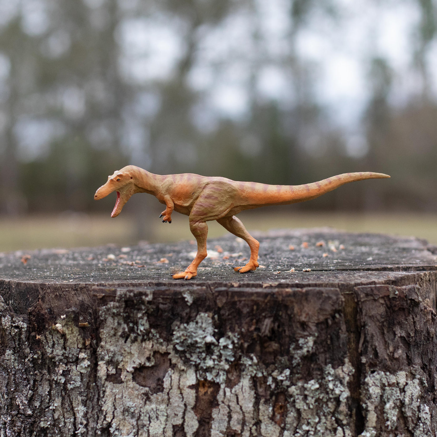 Qianzhousaurus Toy | Dinosaur Toys | Safari Ltd®