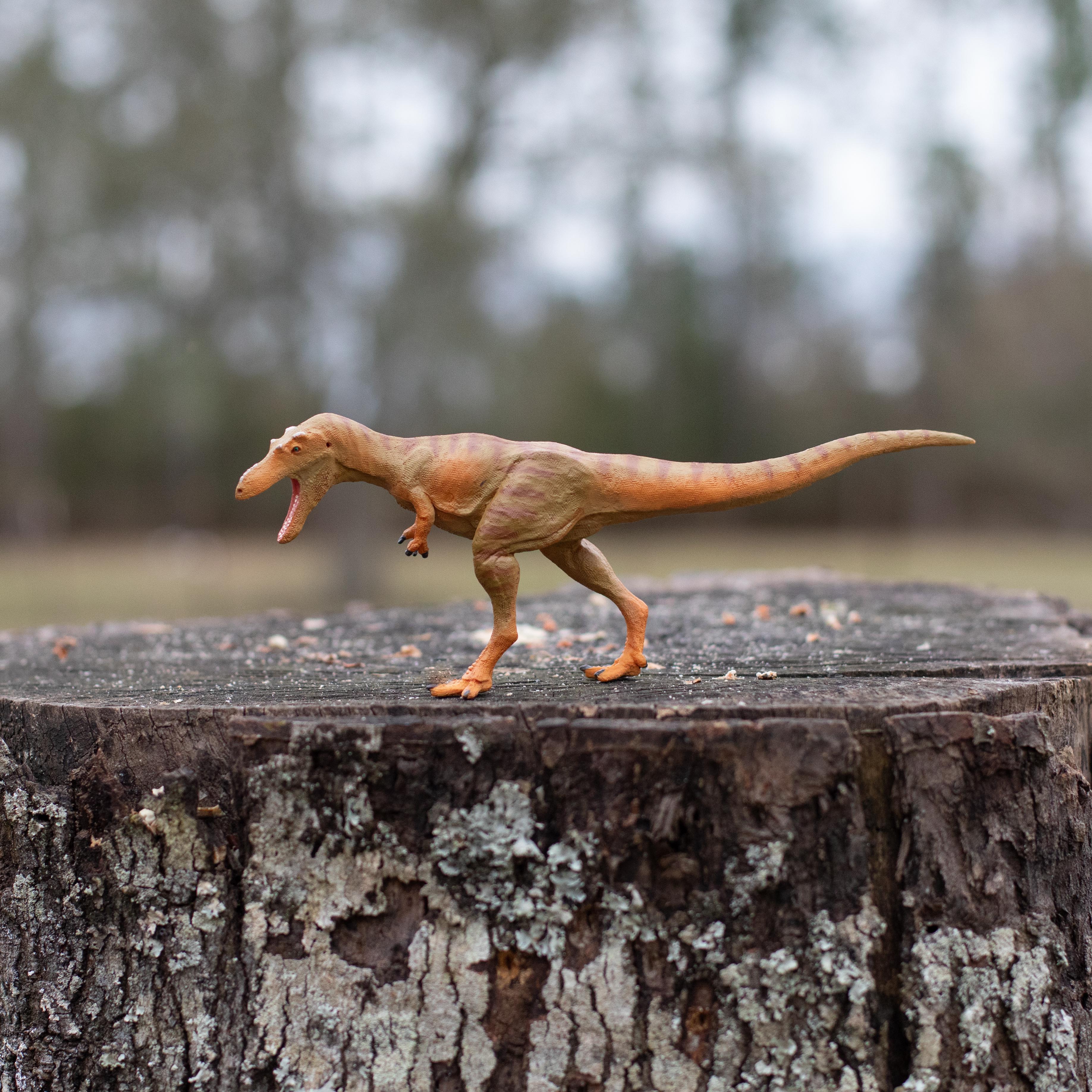 Qianzhousaurus Toy | Dinosaur Toys | Safari Ltd®