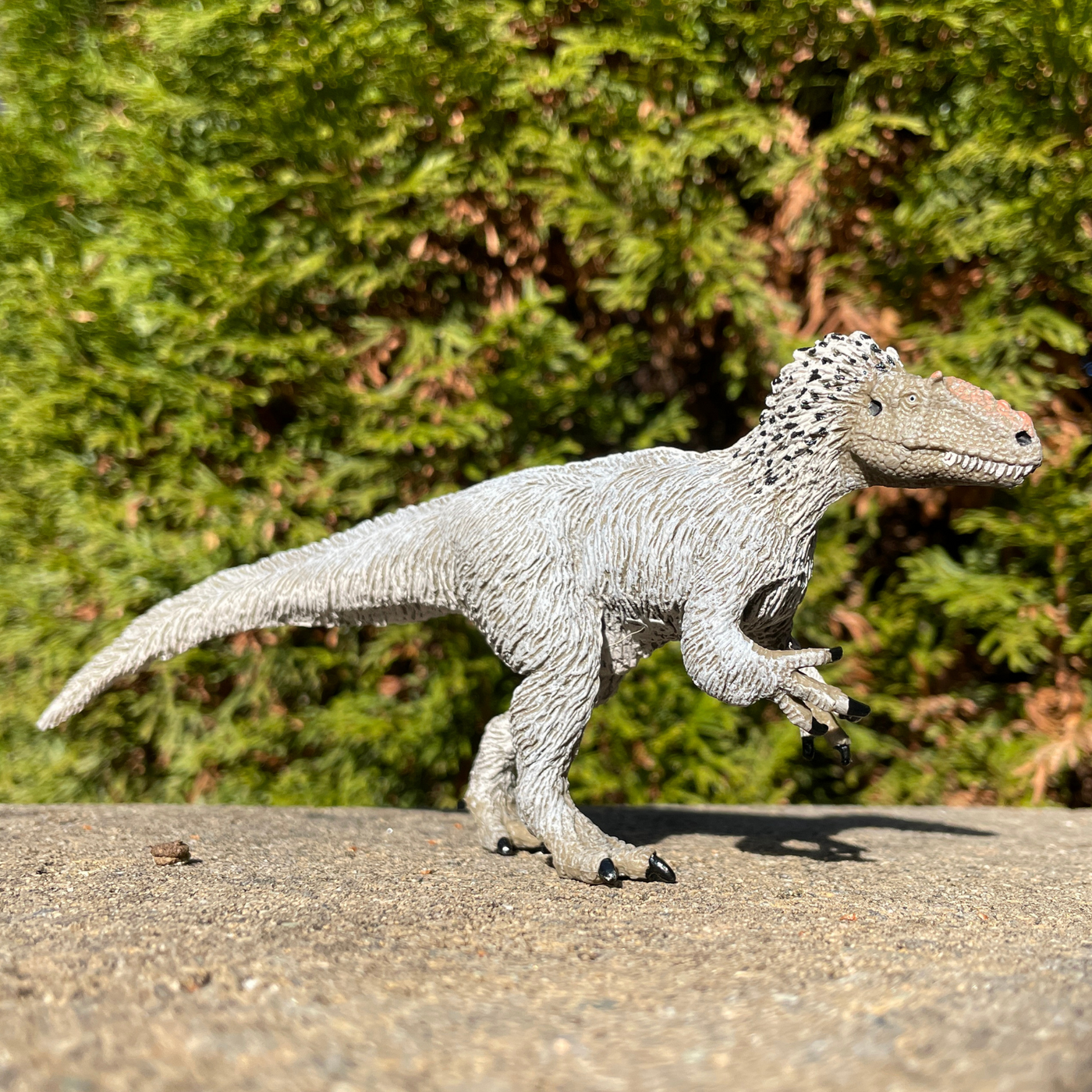 Yutyrannus Toy