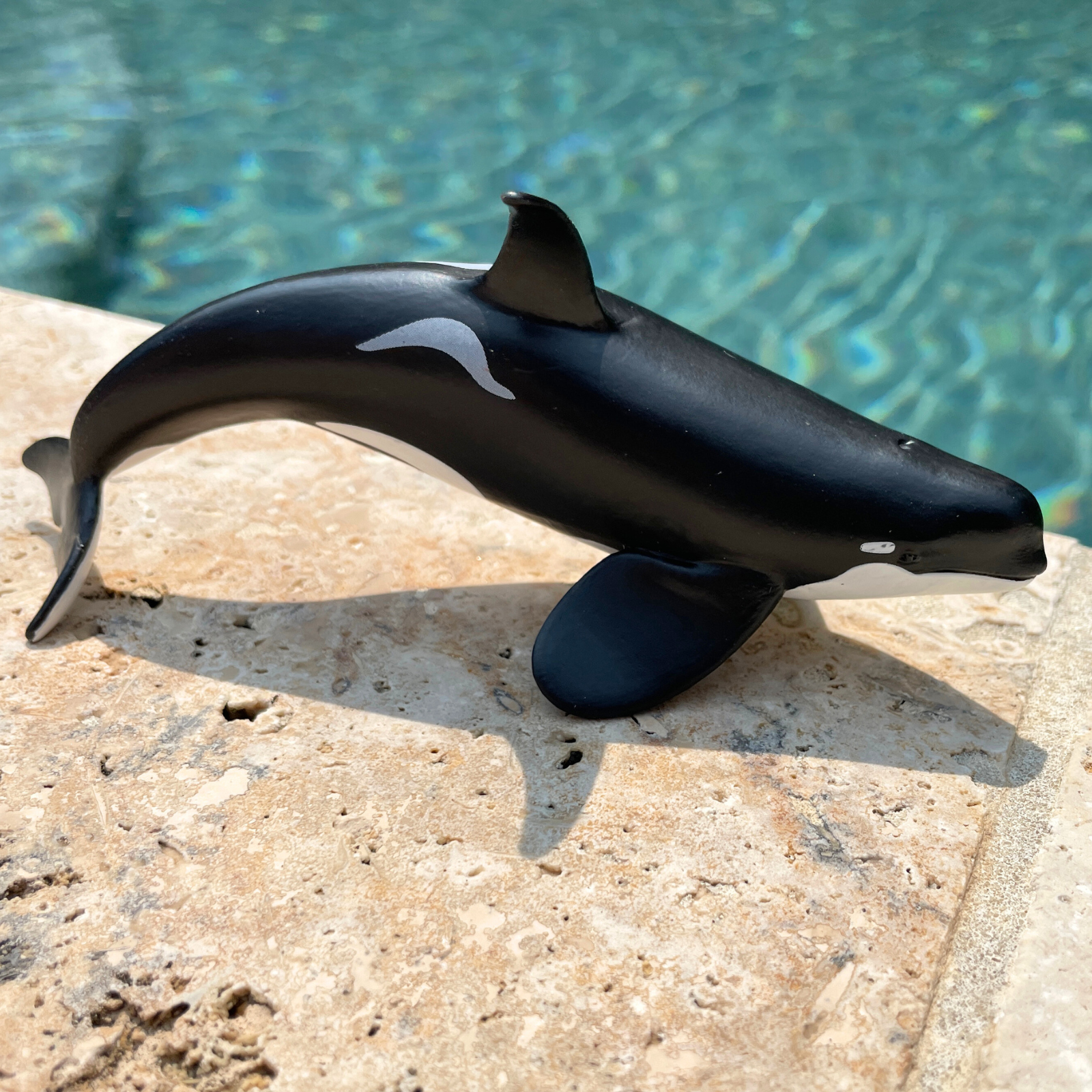 Type D Orca Toy Figure | Wild Safari Sea Life | Safari Ltd®