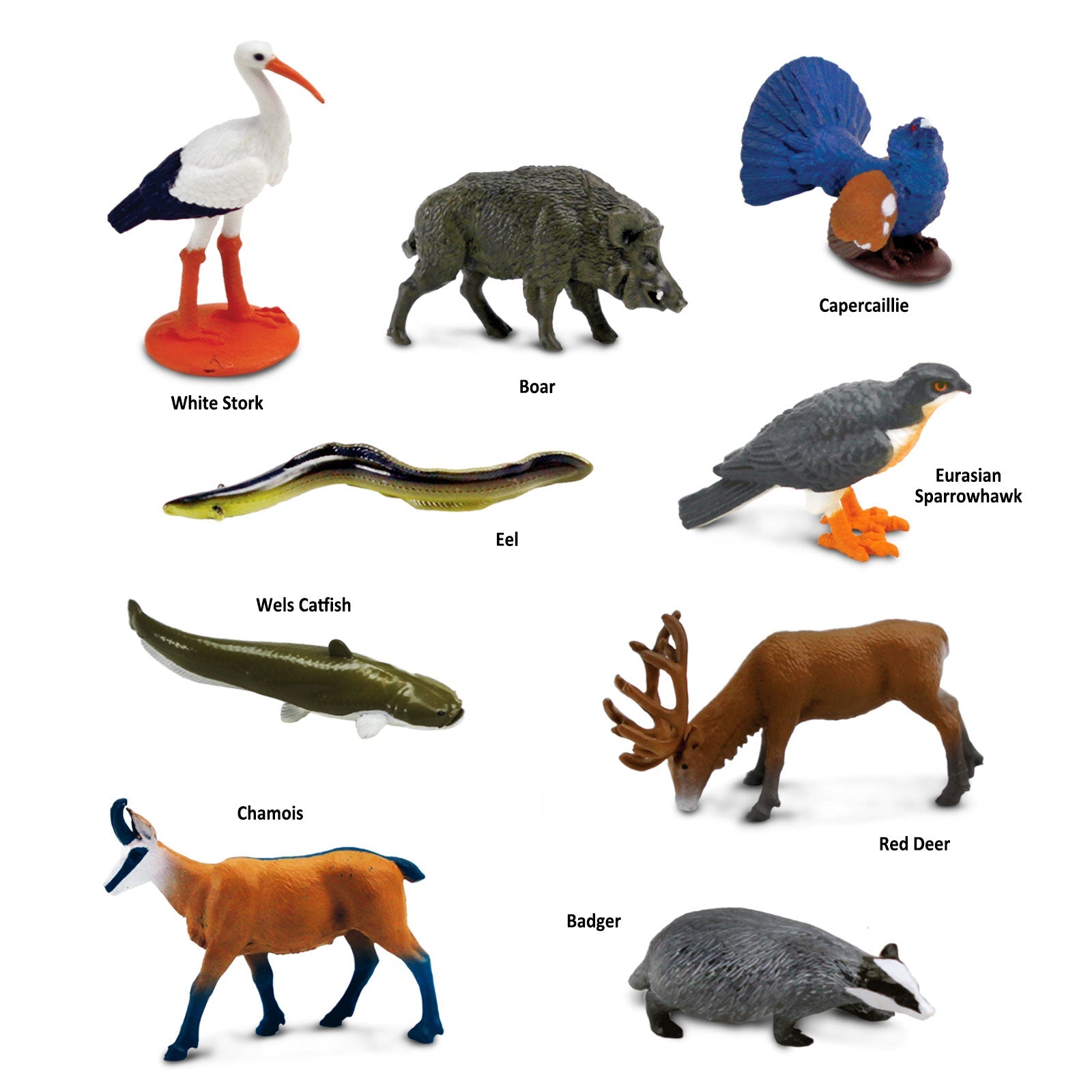 European Animals TOOB