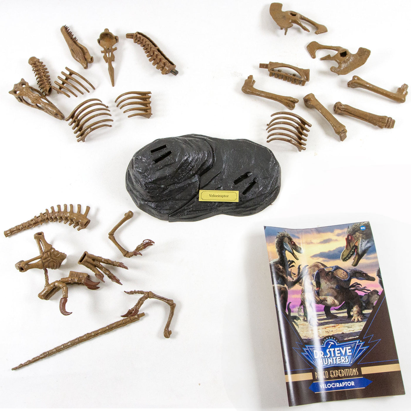 Dr. Steve Hunters GEOWorld Paleo Expedition Velociraptor Replica Skeleton Kit - 25 pieces |  | Safari Ltd®