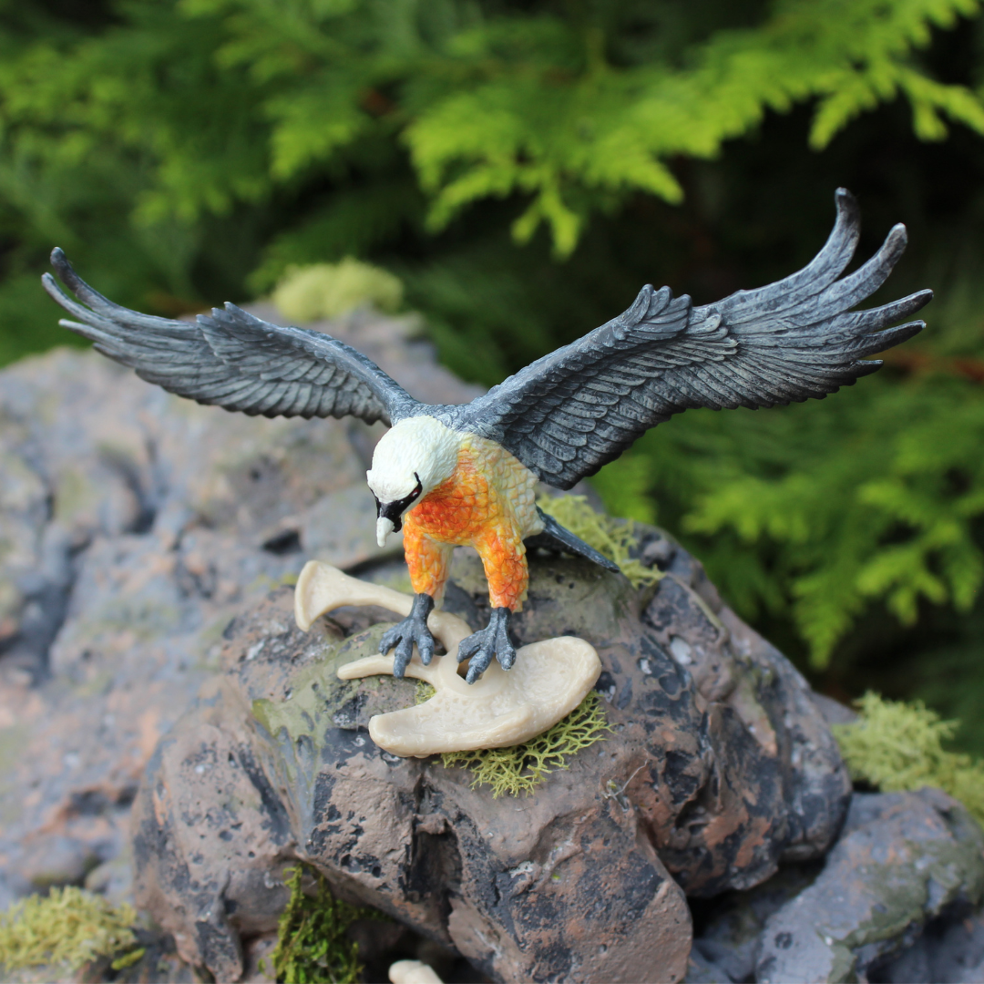 Bearded Vulture Toy Figure | Safari Ltd®