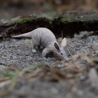 Aardvark Toy | Wildlife Animal Toys | Safari Ltd®