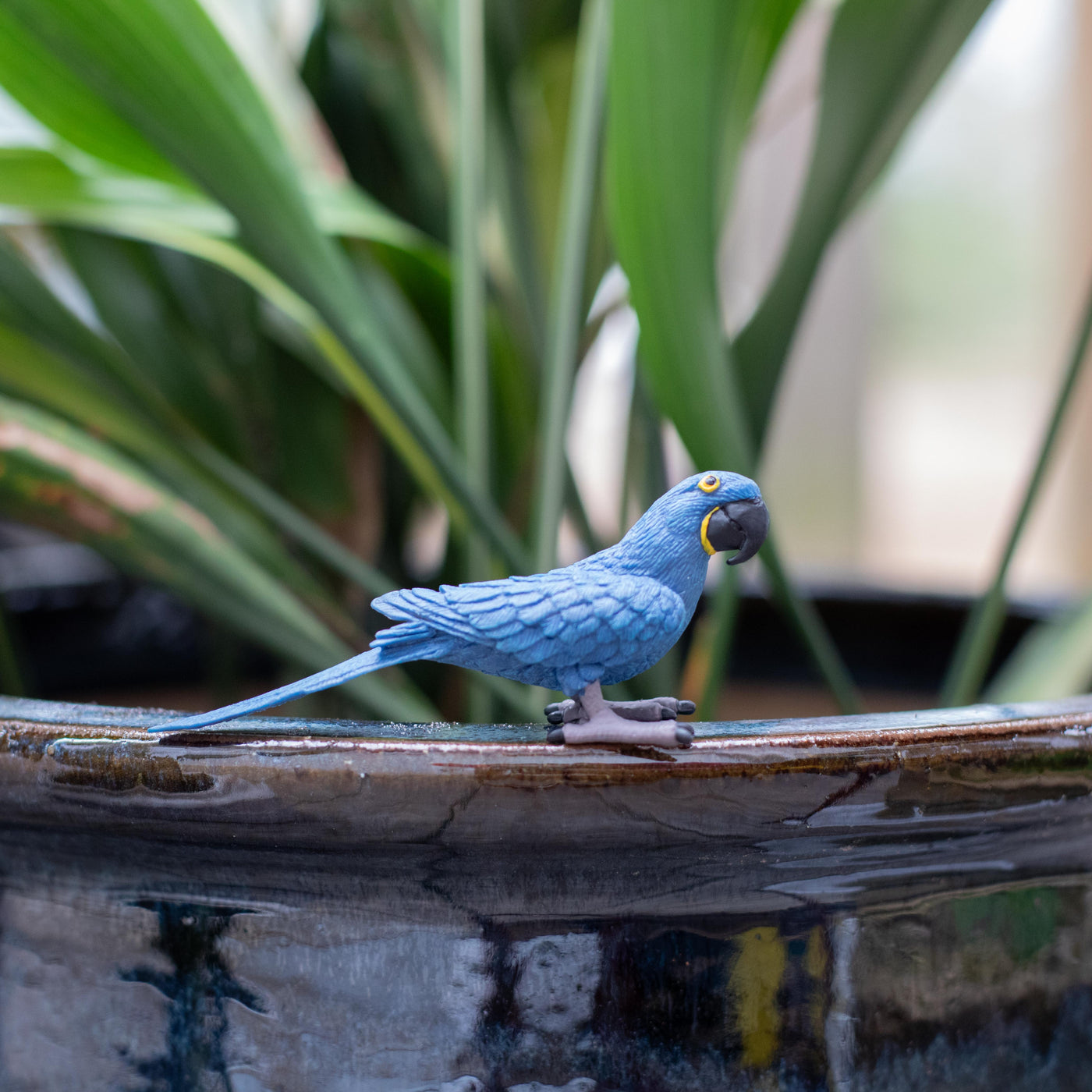 Hyacinth Macaw Toy | Wildlife Animal Toys | Safari Ltd®