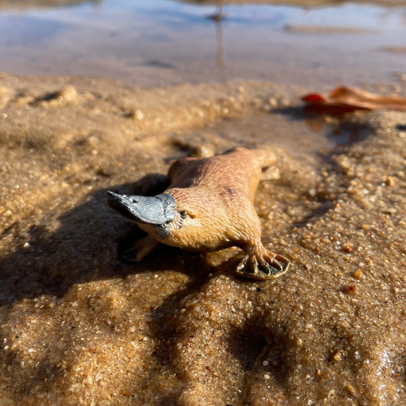 Platypus Toy