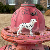 Dalmatian Toy | Farm | Safari Ltd®