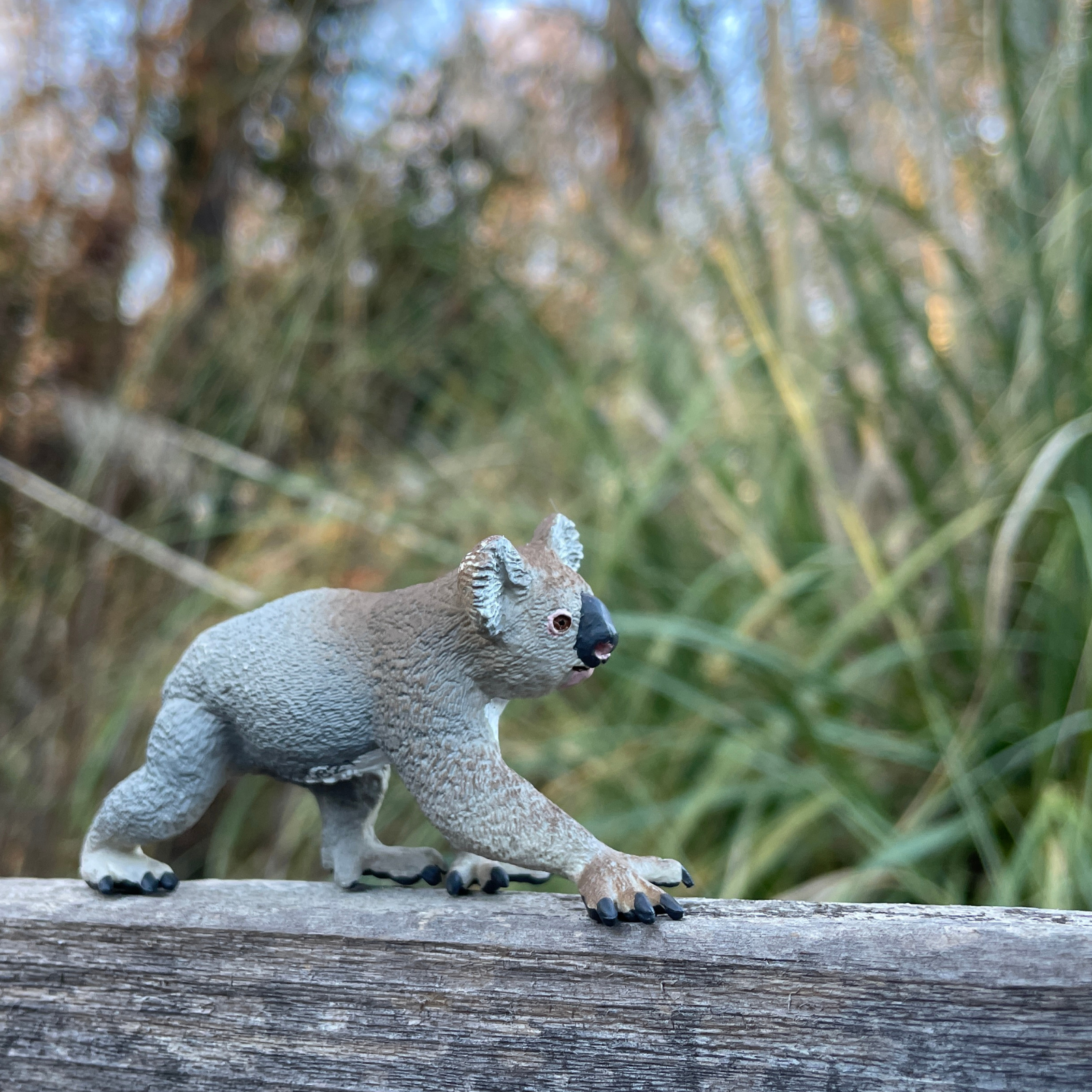 Koala Toy