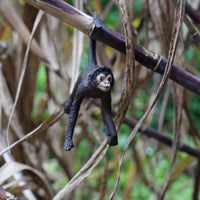 Spider Monkey Toy