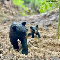 Black Bear Toy