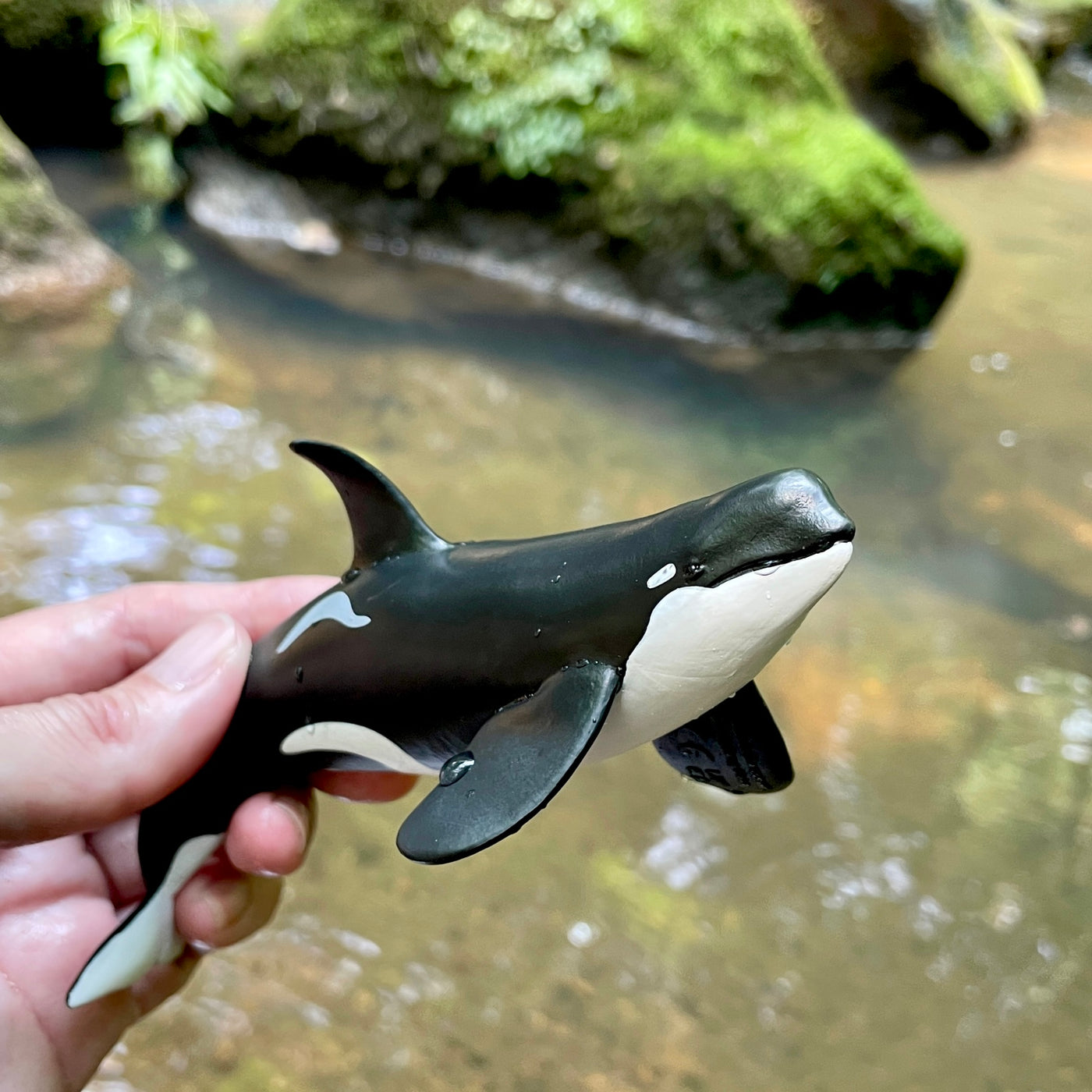 Type D Orca Toy Figure | Wild Safari Sea Life | Safari Ltd®