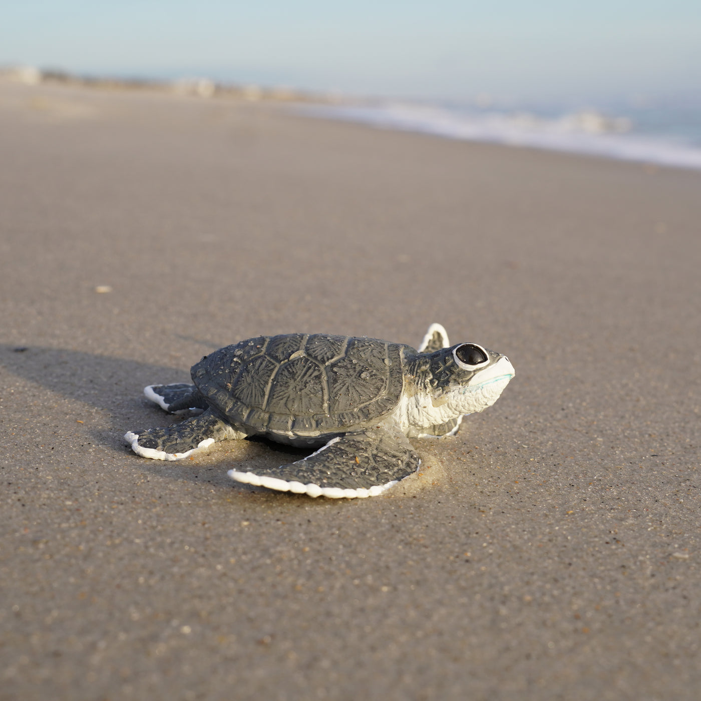 Sea Turtle Baby Toy | Incredible Creatures | Safari Ltd®