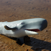 Sperm Whale Toy