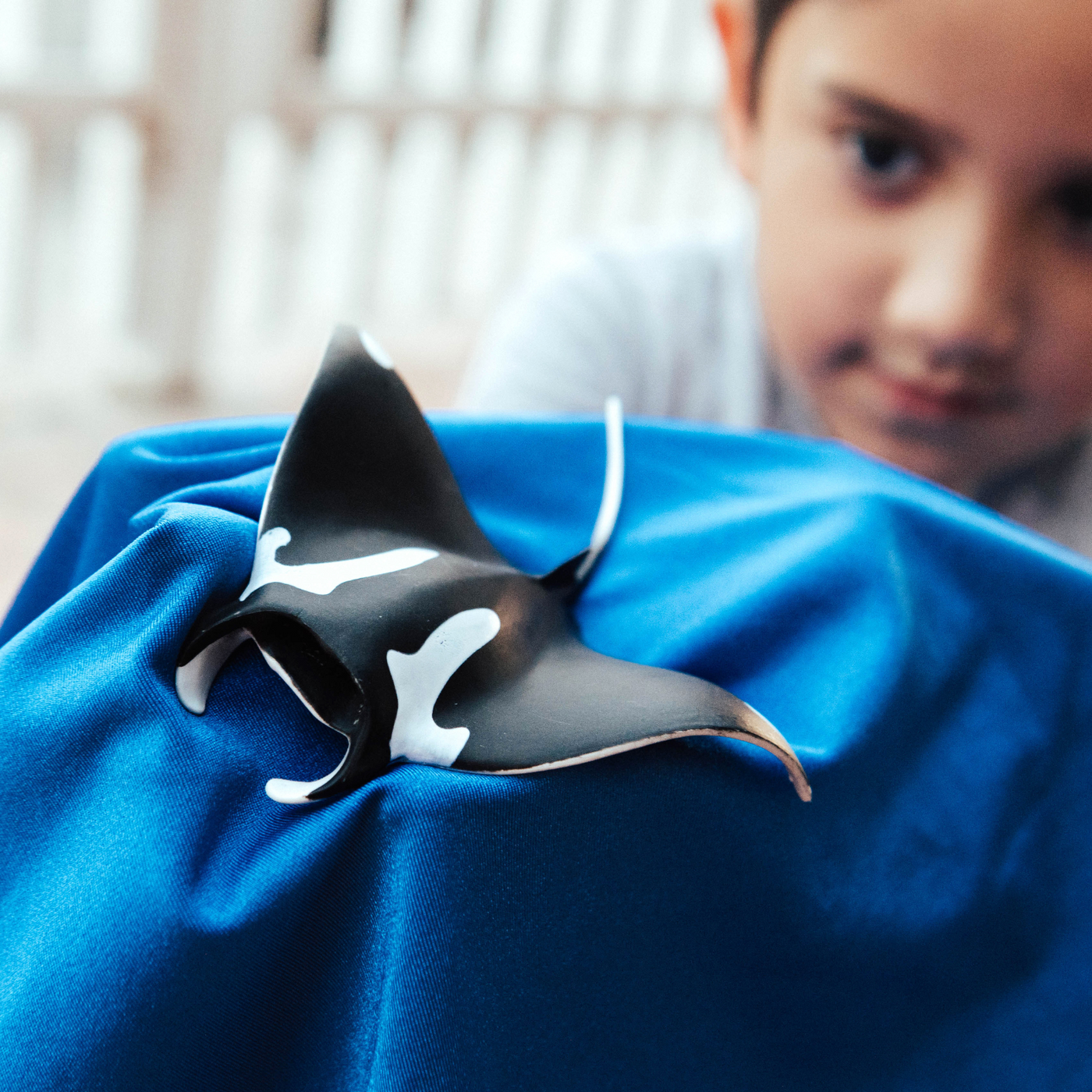 Manta Ray Toy