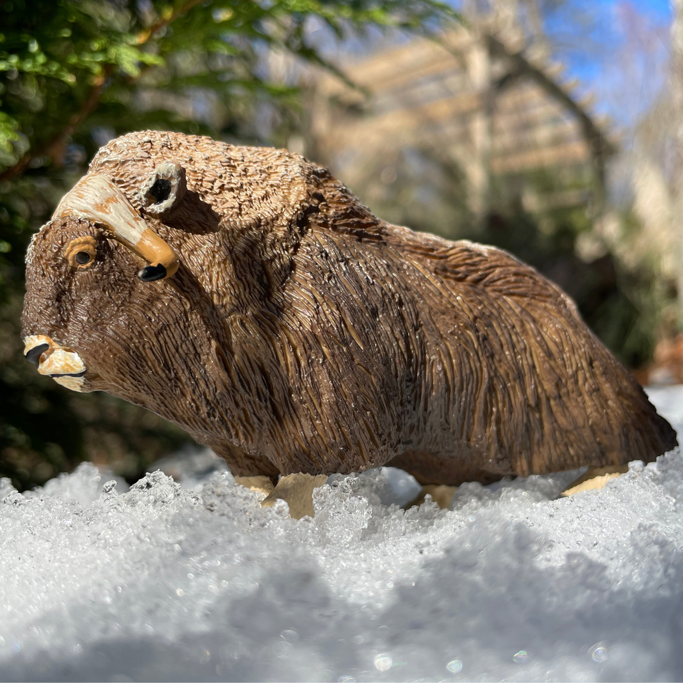 Muskox Toy