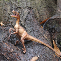 Velociraptor Toy