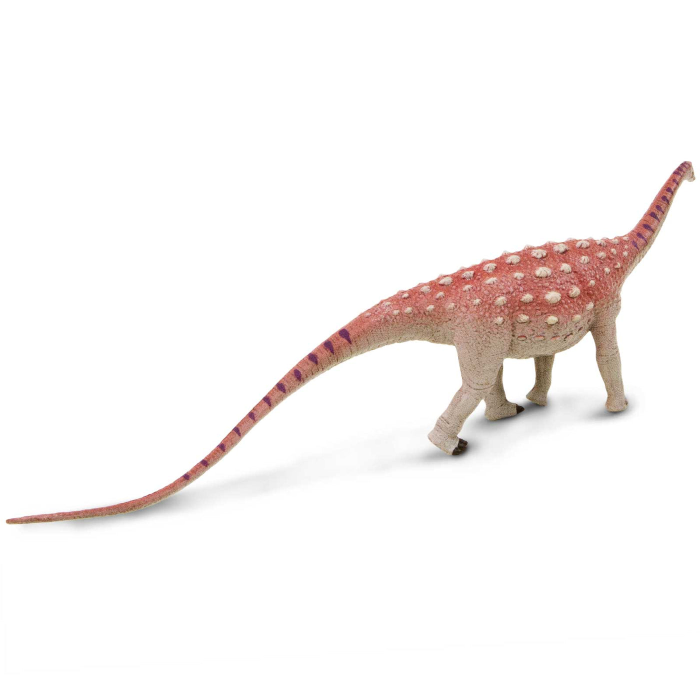 Saltasaurus Dinosaur Toy Figure |  | Safari Ltd®