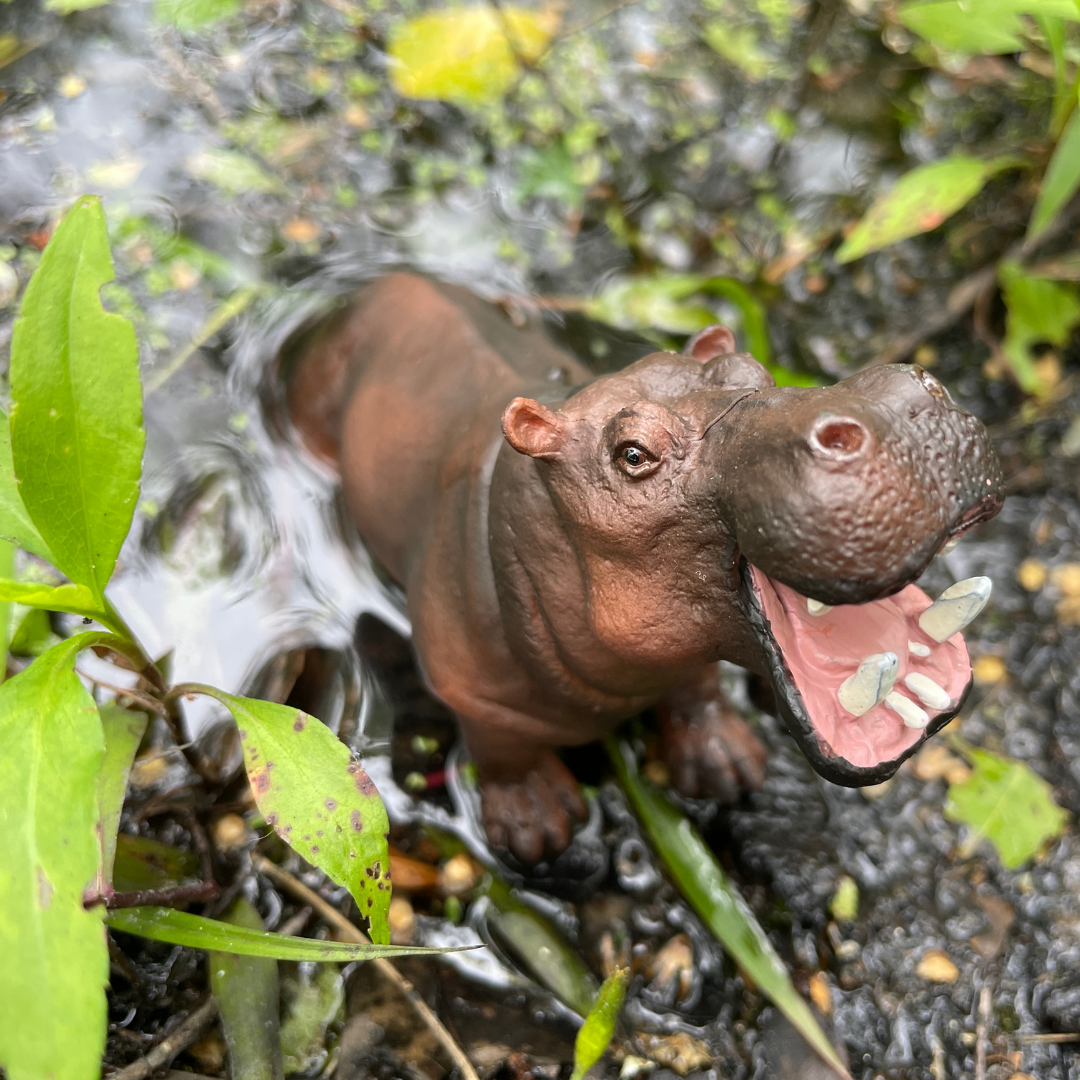 Hippopotamus Toy