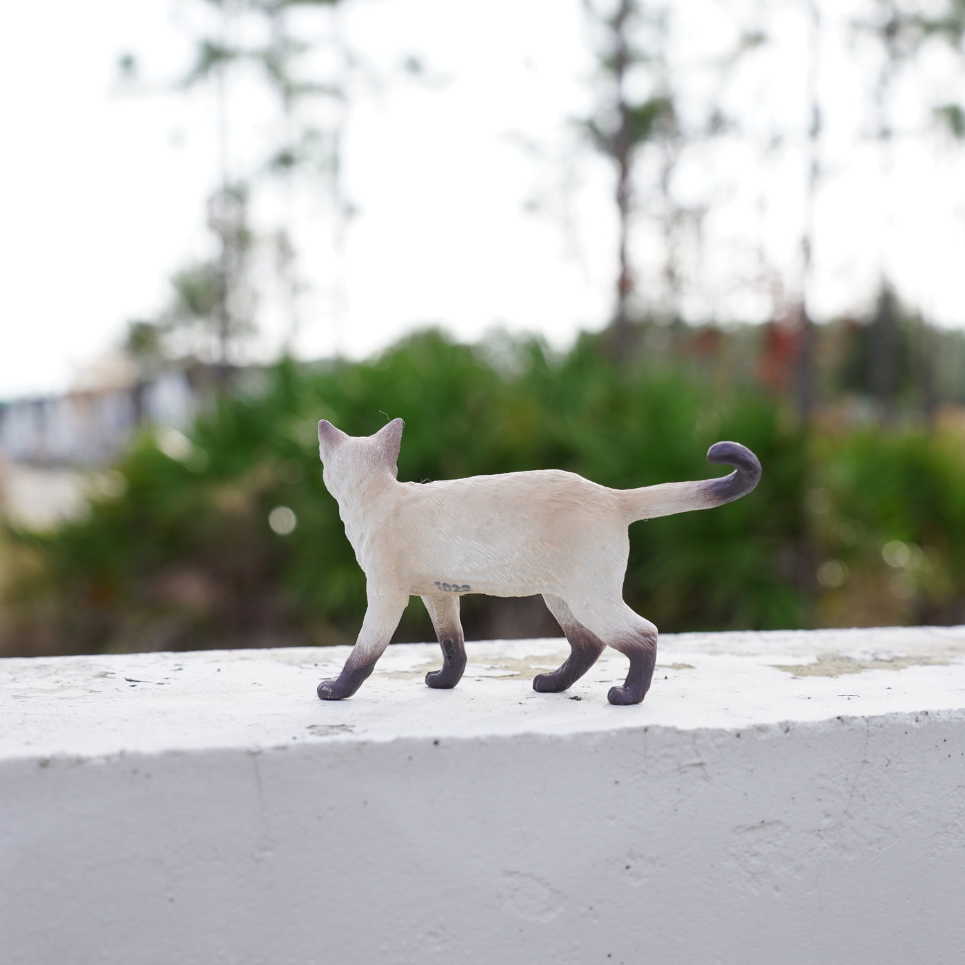 Siamese Toy | Farm | Safari Ltd®