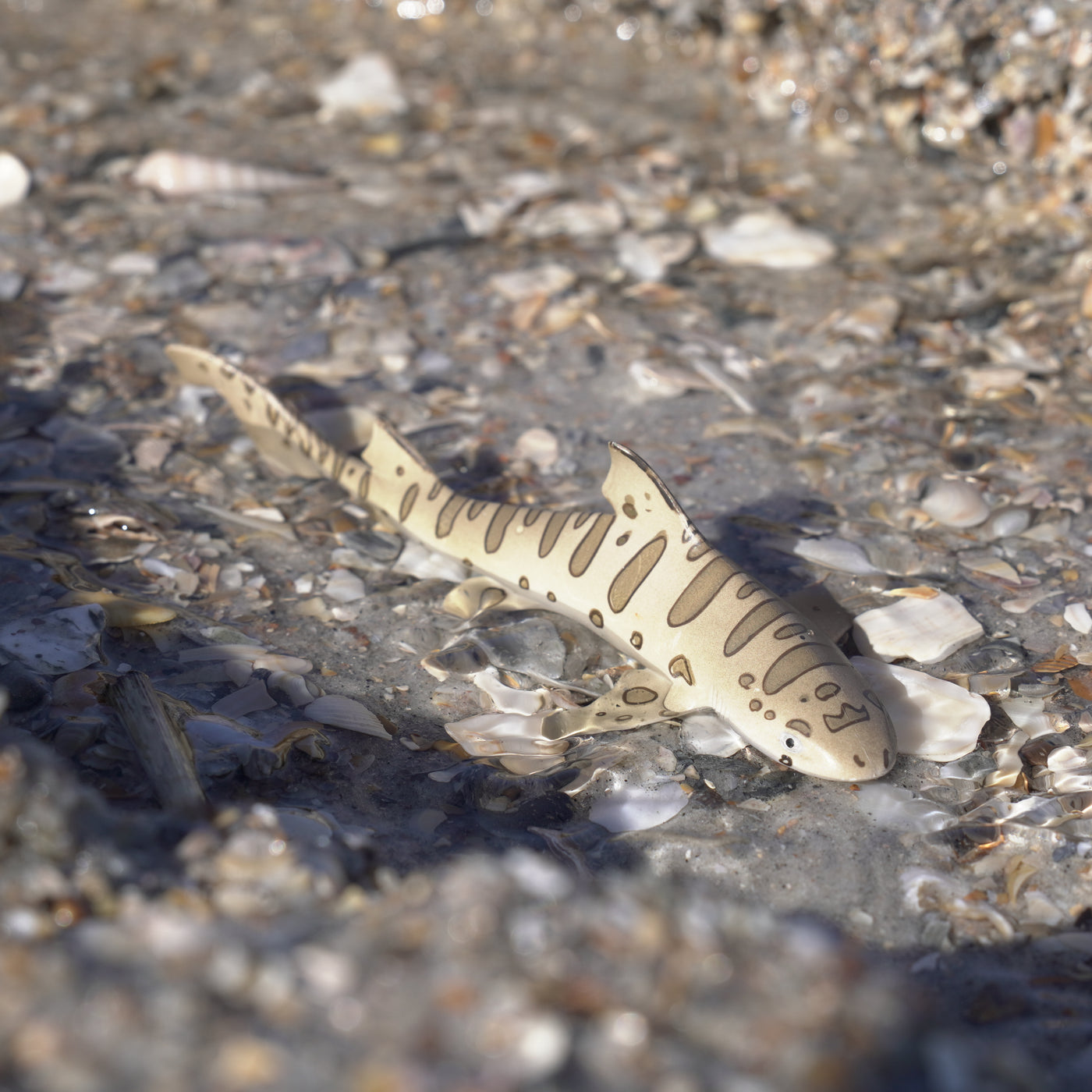 Leopard Shark Toy