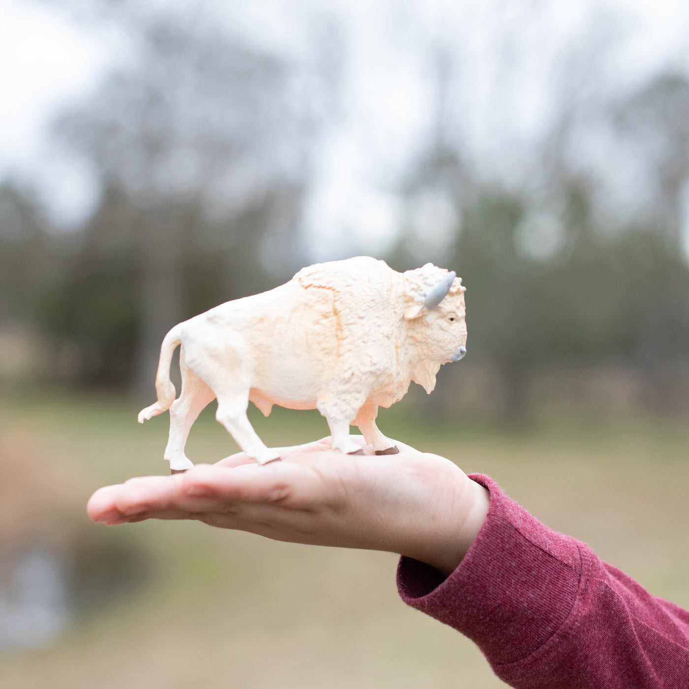 White Buffalo Toy | Wildlife Animal Toys | Safari Ltd®