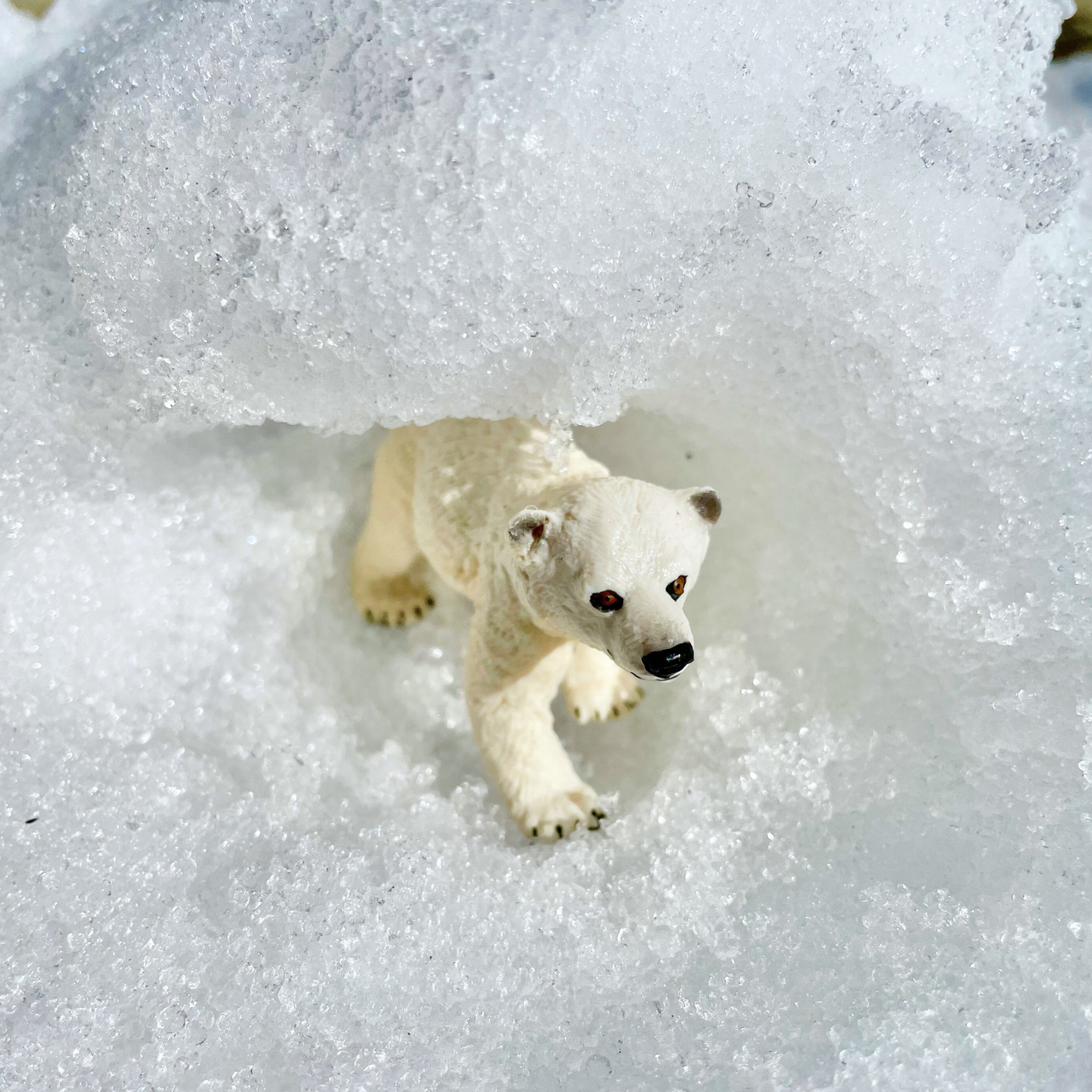 Polar Bear Cub Toy