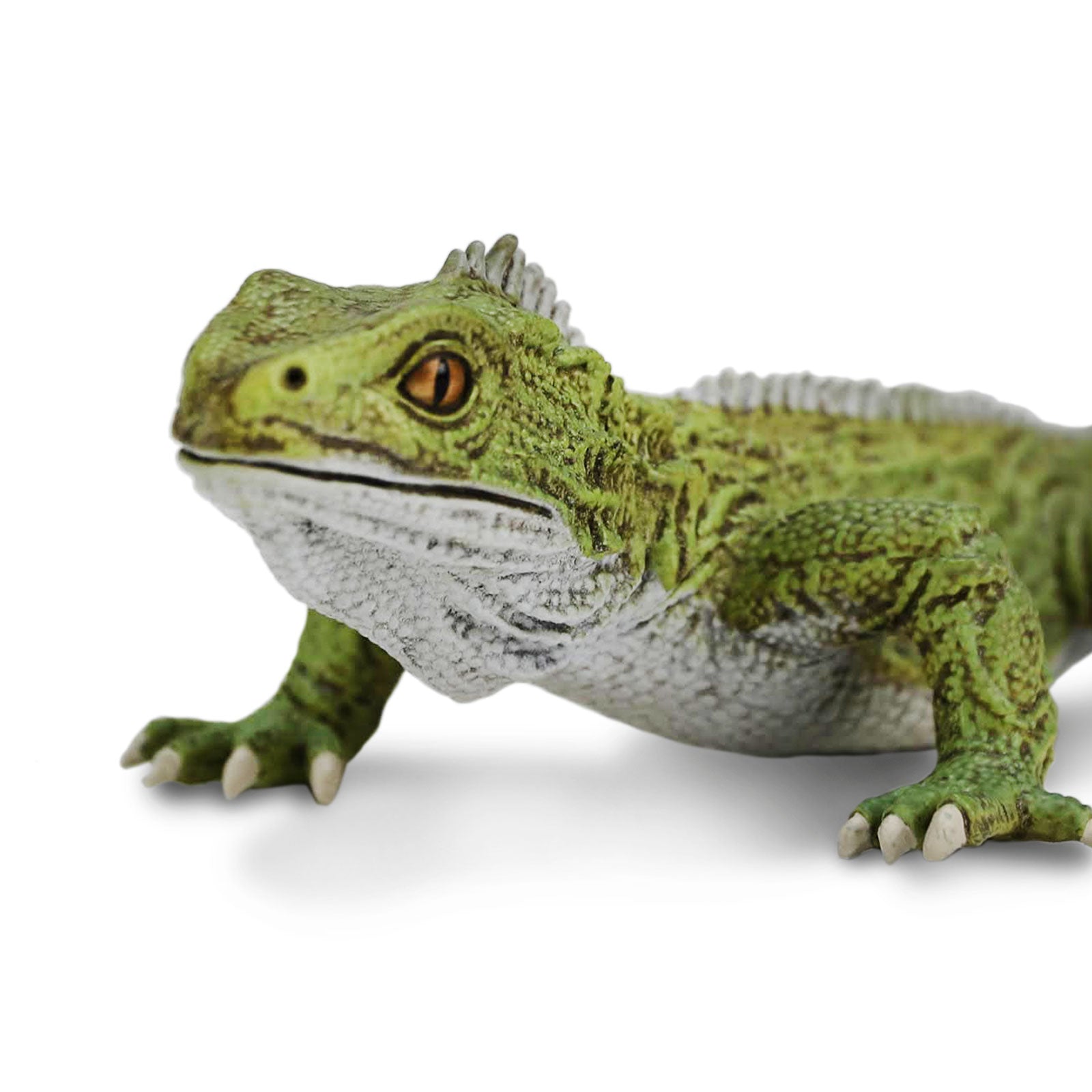 Tuatara Toy Figure | Incredible Creatures | Safari Ltd®