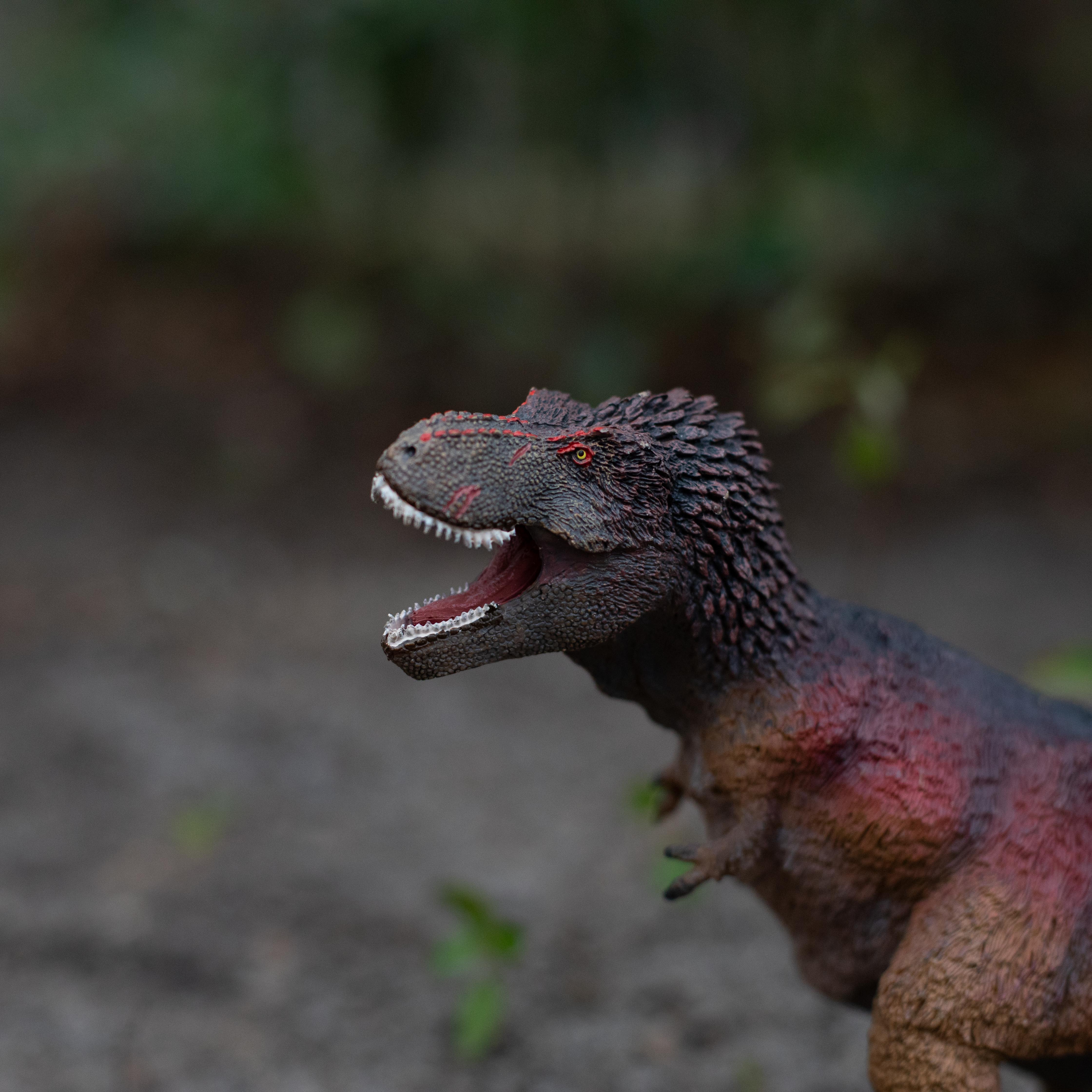 Safari LTD Feathered Tyrannosaurus Rex