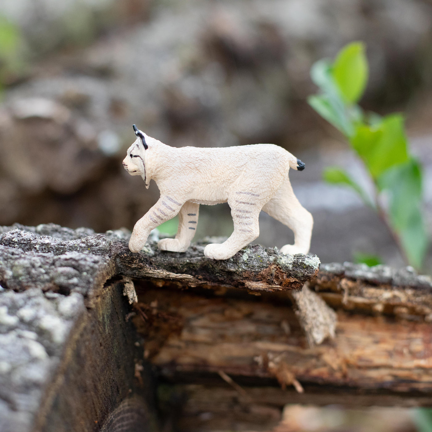 Lynx Toy | Wildlife Animal Toys | Safari Ltd®