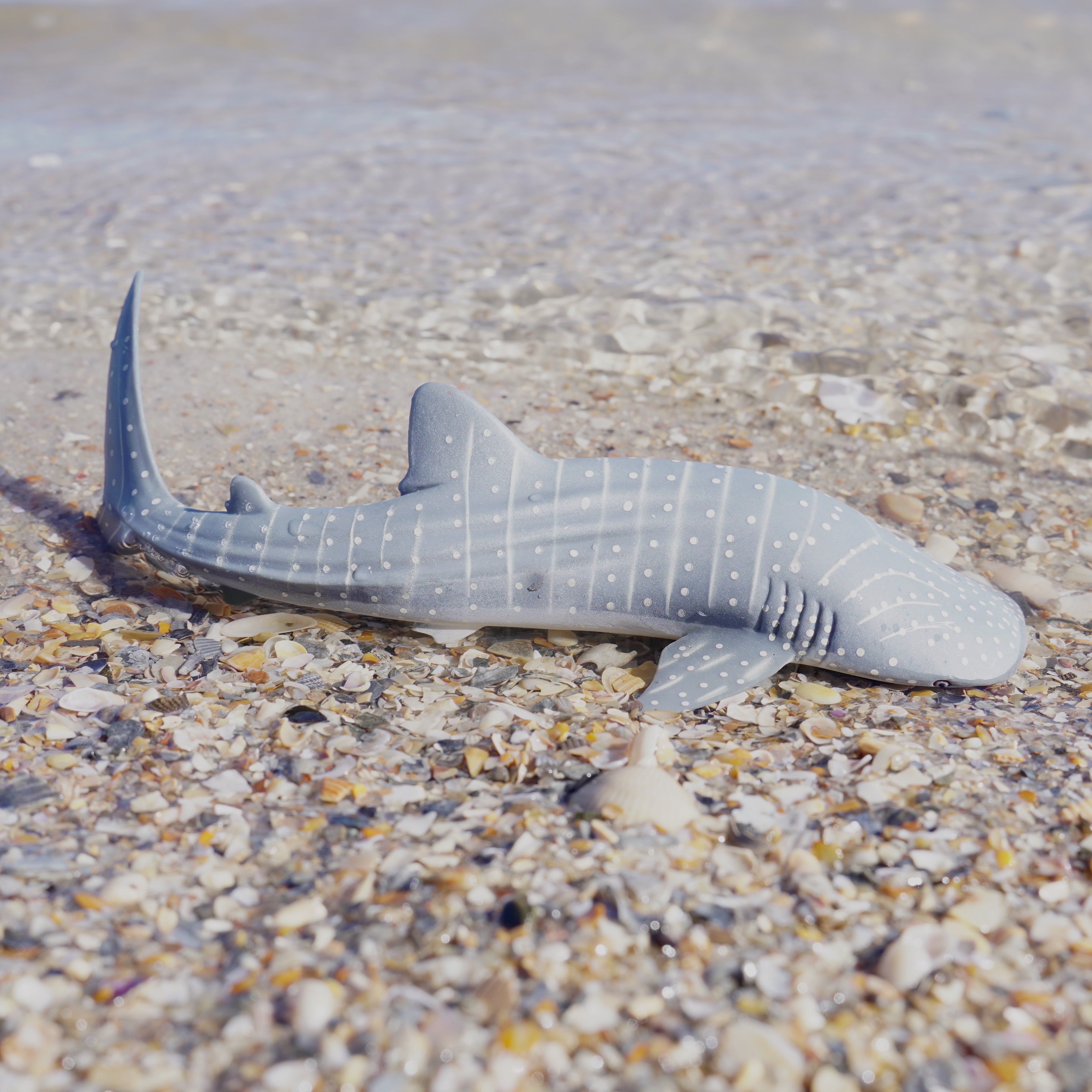 Whale Shark Toy