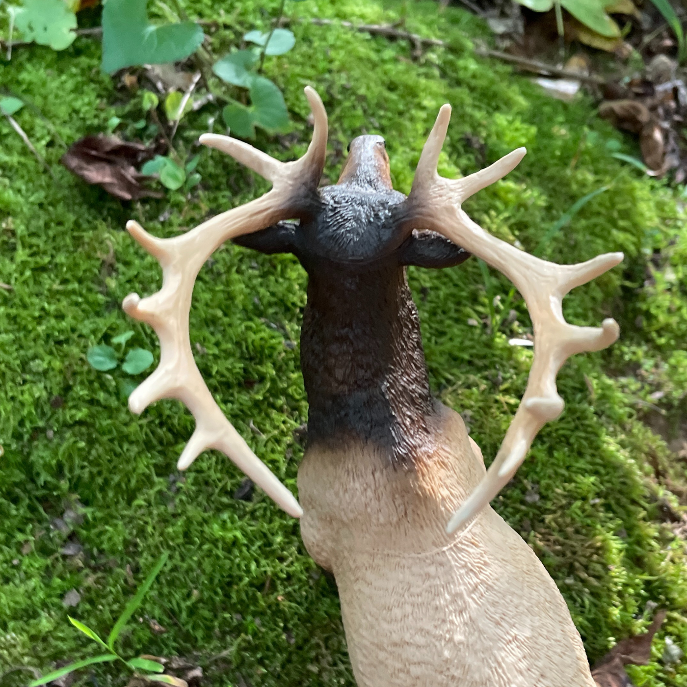 Elk Toy Figure | Wild Wildlife | Safari Ltd®