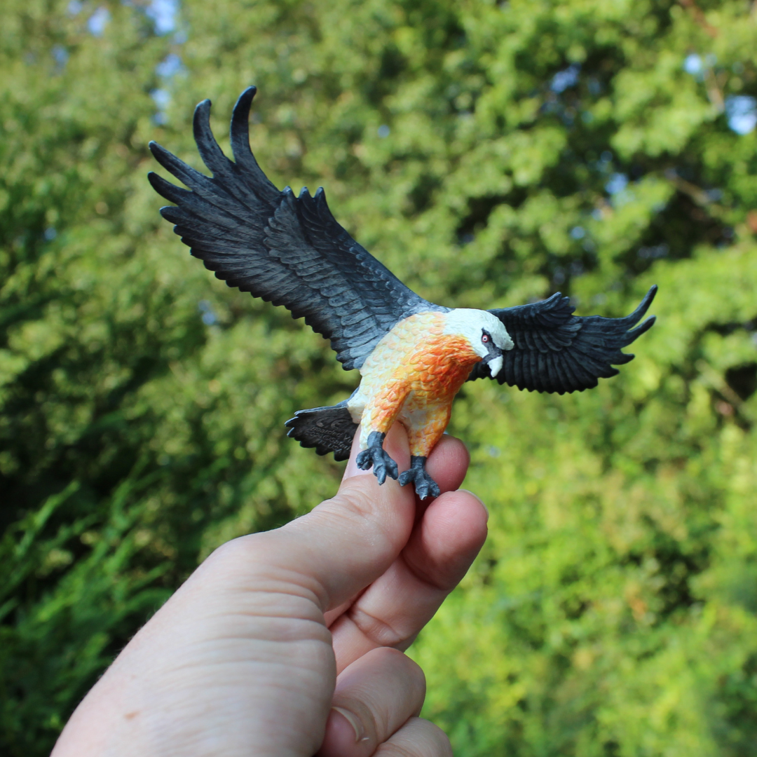 Bearded Vulture Toy Figure | Safari Ltd®