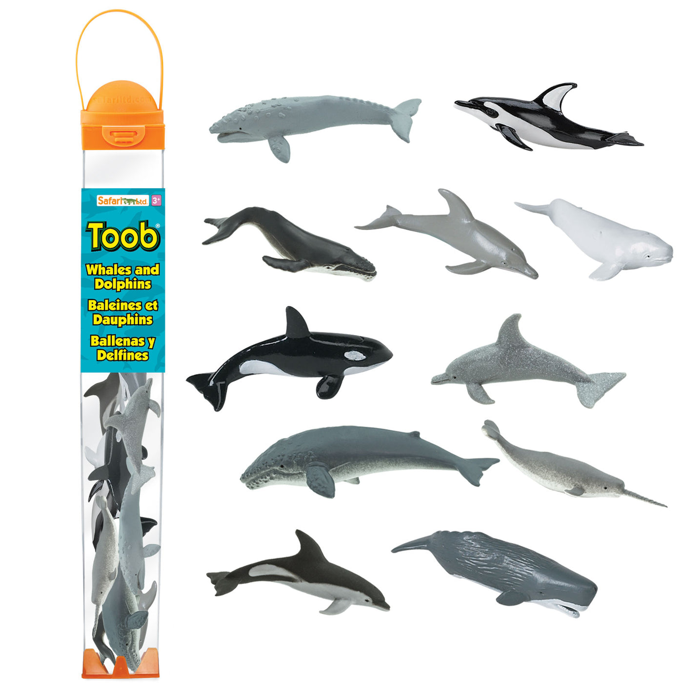 Whales & Dolphins TOOB® - Safari Ltd®