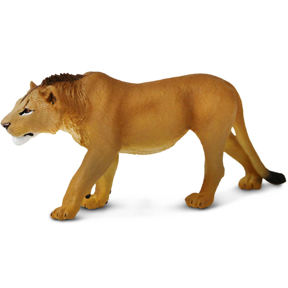 Adolescent Male Lion Toy Figure | Safari Ltd®