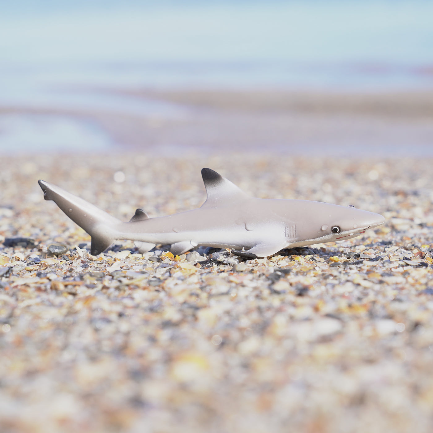 Blacktip Reef Shark Toy