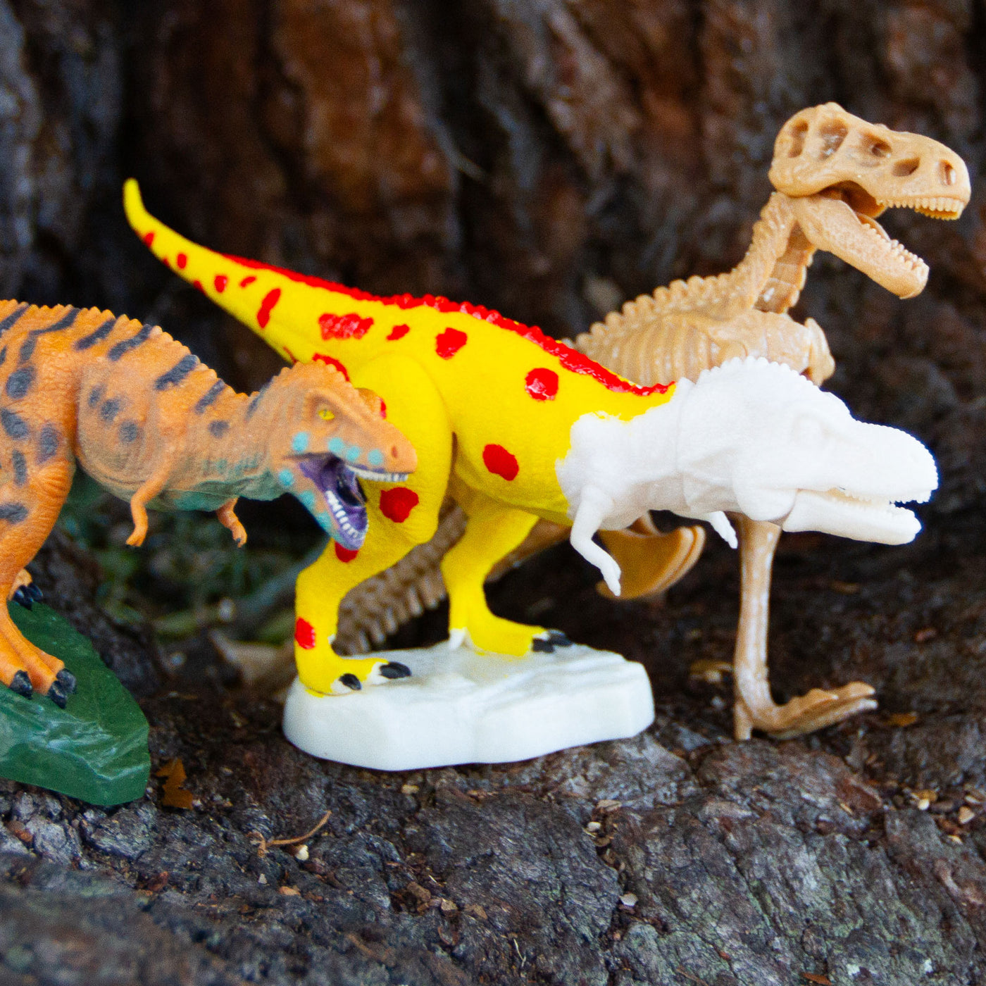 Dr. Steve Hunters GEOWorld T-Rex Multi-activity Kit |  | Safari Ltd®