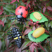 Life Cycle of a Ladybug | Safariology® | Safari Ltd®