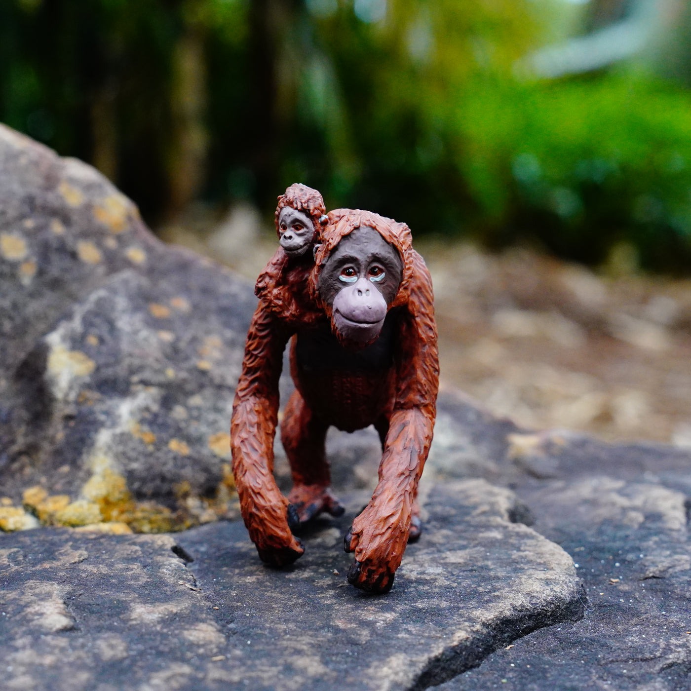 Orangutan with Baby Toy