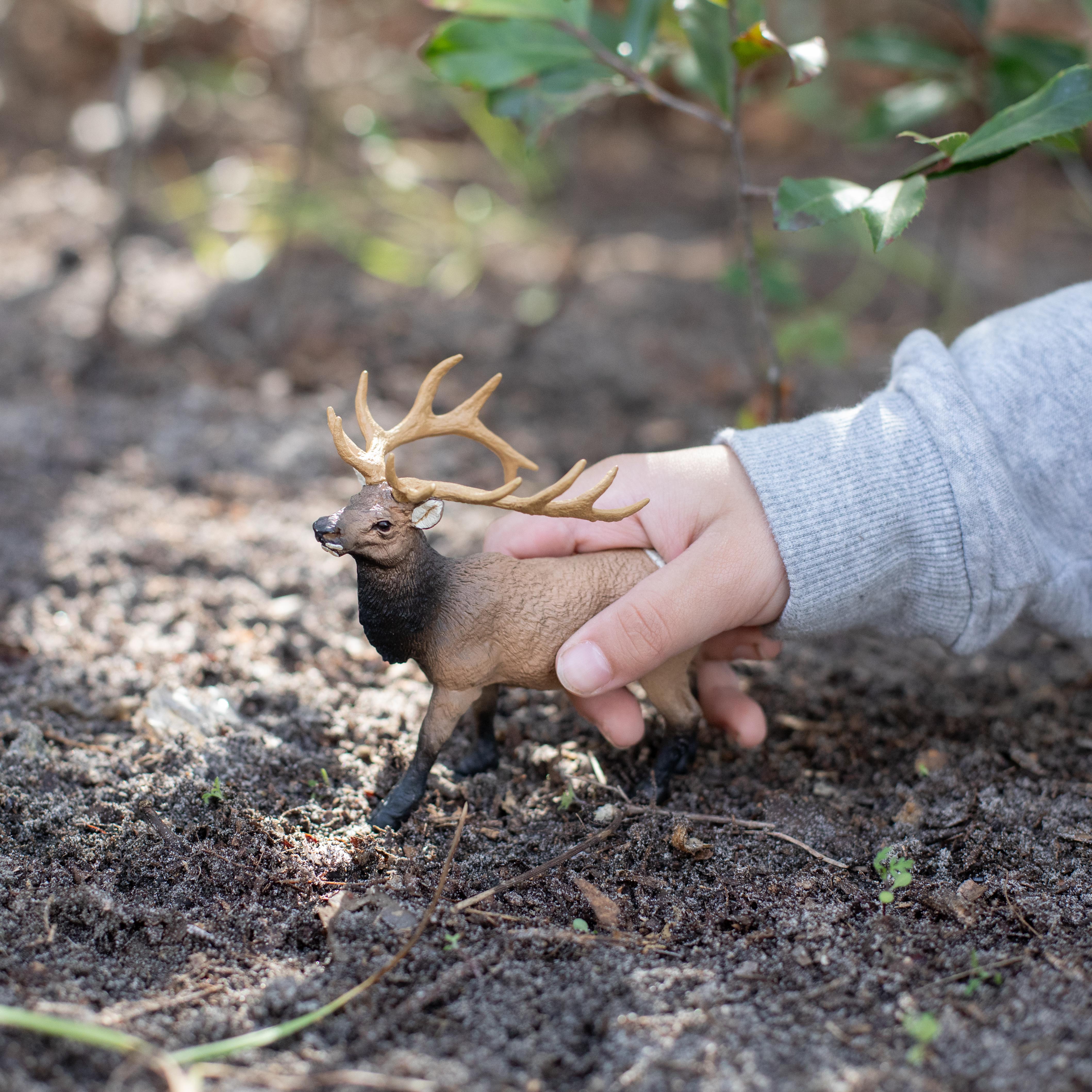 Elk Bull Toy | Wildlife Animal Toys | Safari Ltd®