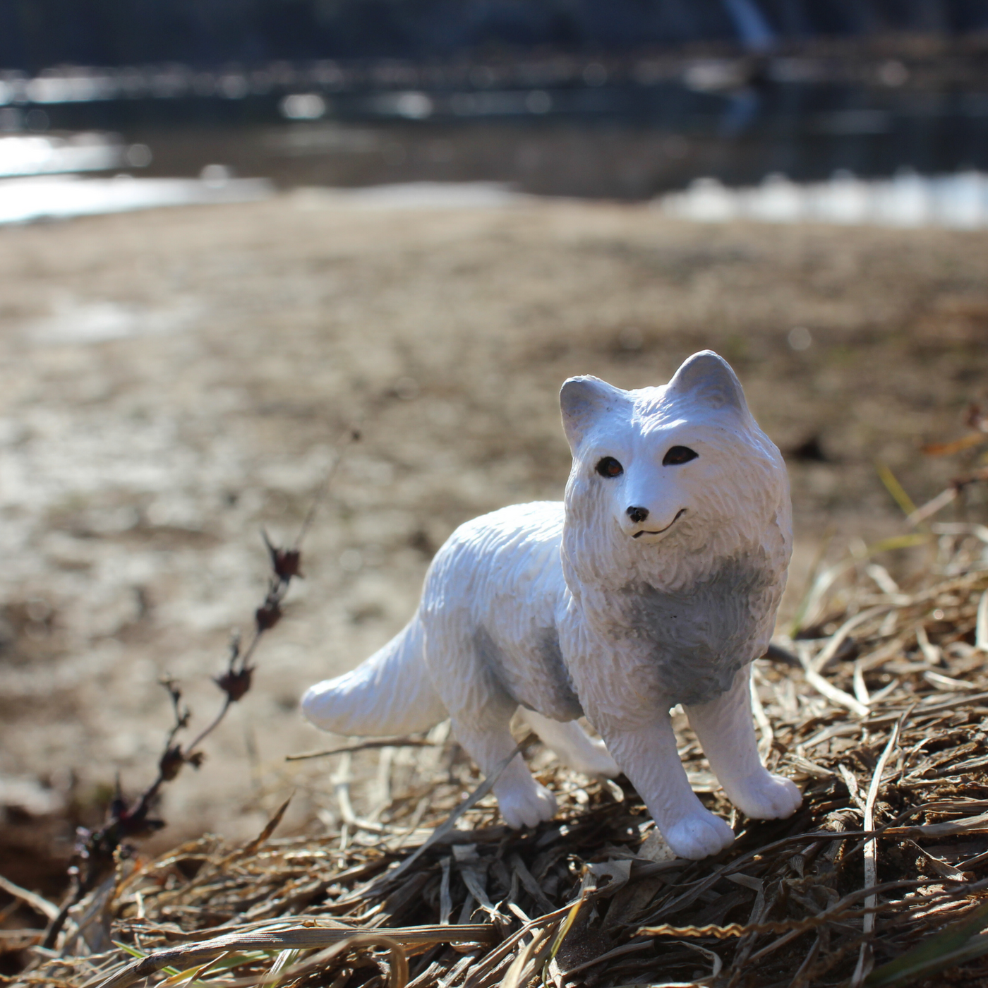 Arctic Fox Toy