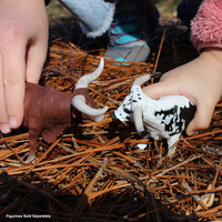 Texas Longhorn Bull