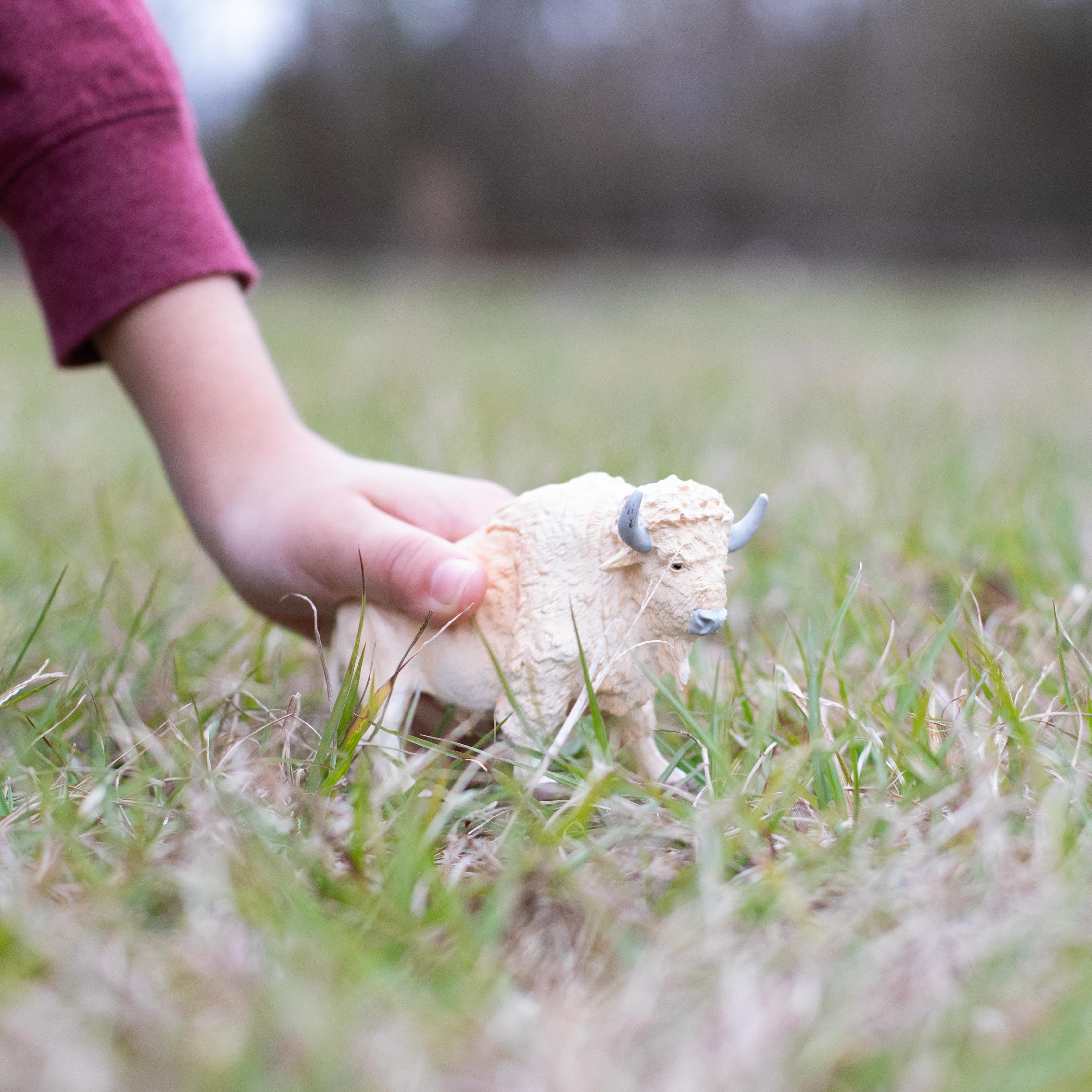 White Buffalo Toy | Wildlife Animal Toys | Safari Ltd®