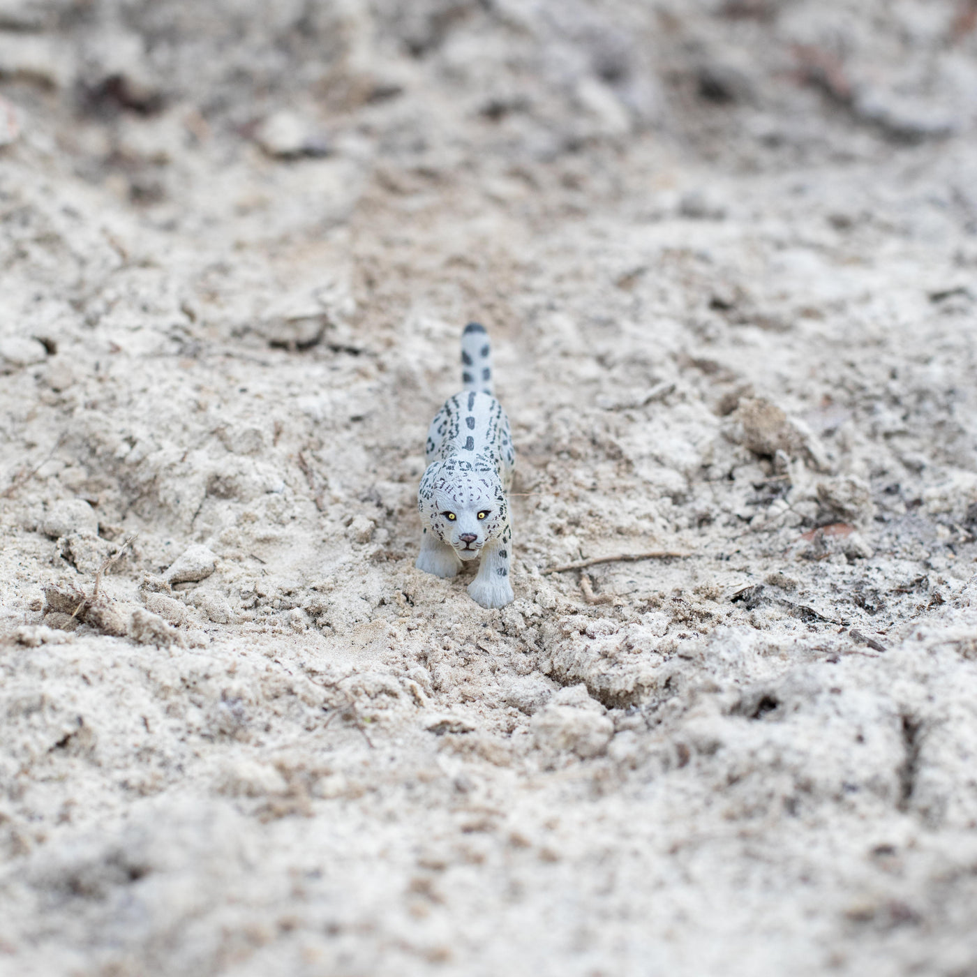 Snow Leopard Toy | Wildlife Animal Toys | Safari Ltd®