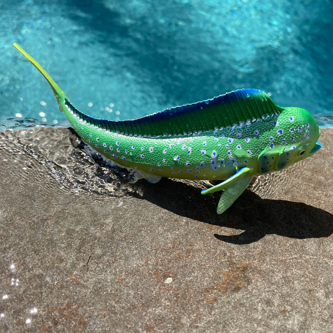 Mahi-Mahi Toy Fish Figure