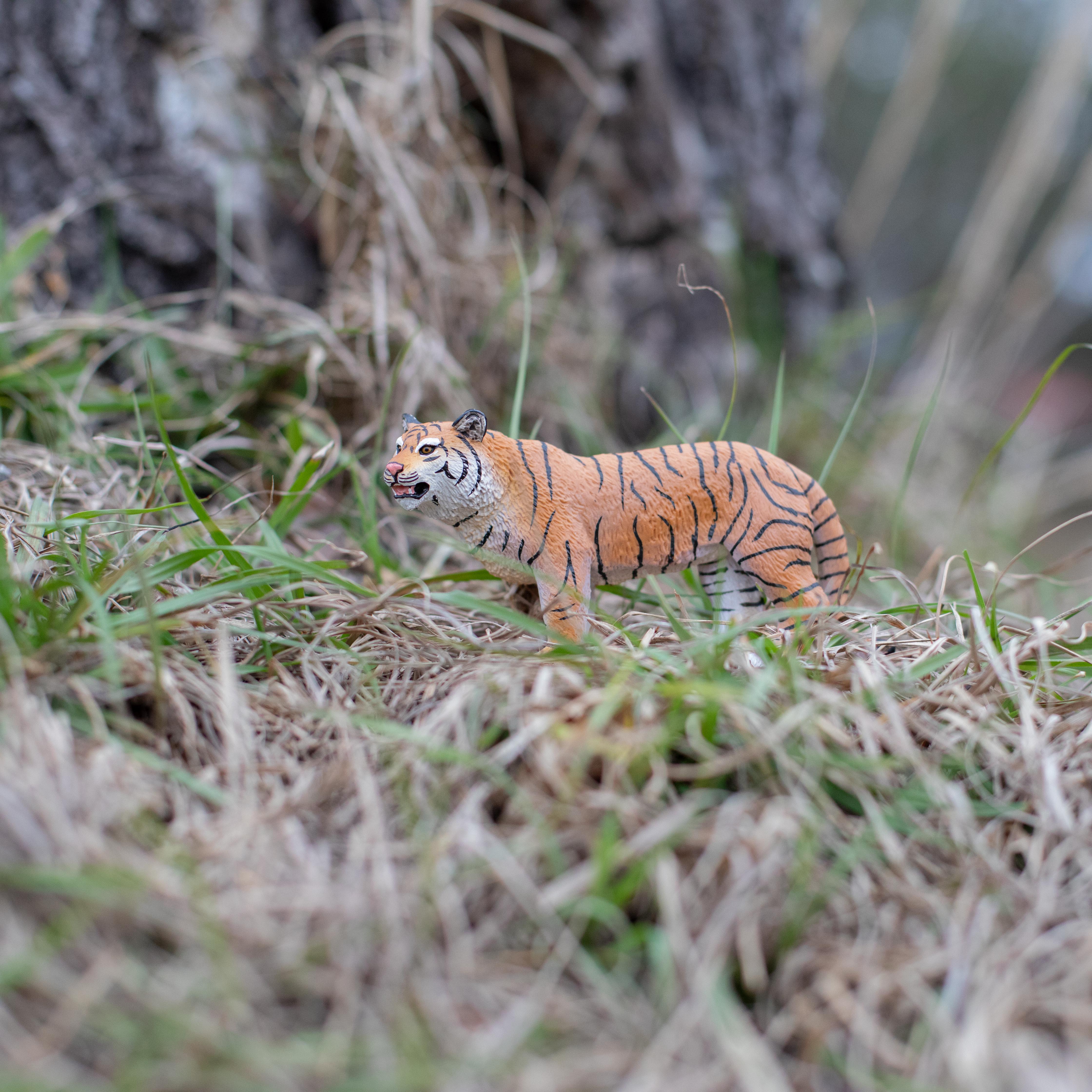 Bengal Tigress Toy | Wildlife Animal Toys | Safari Ltd®