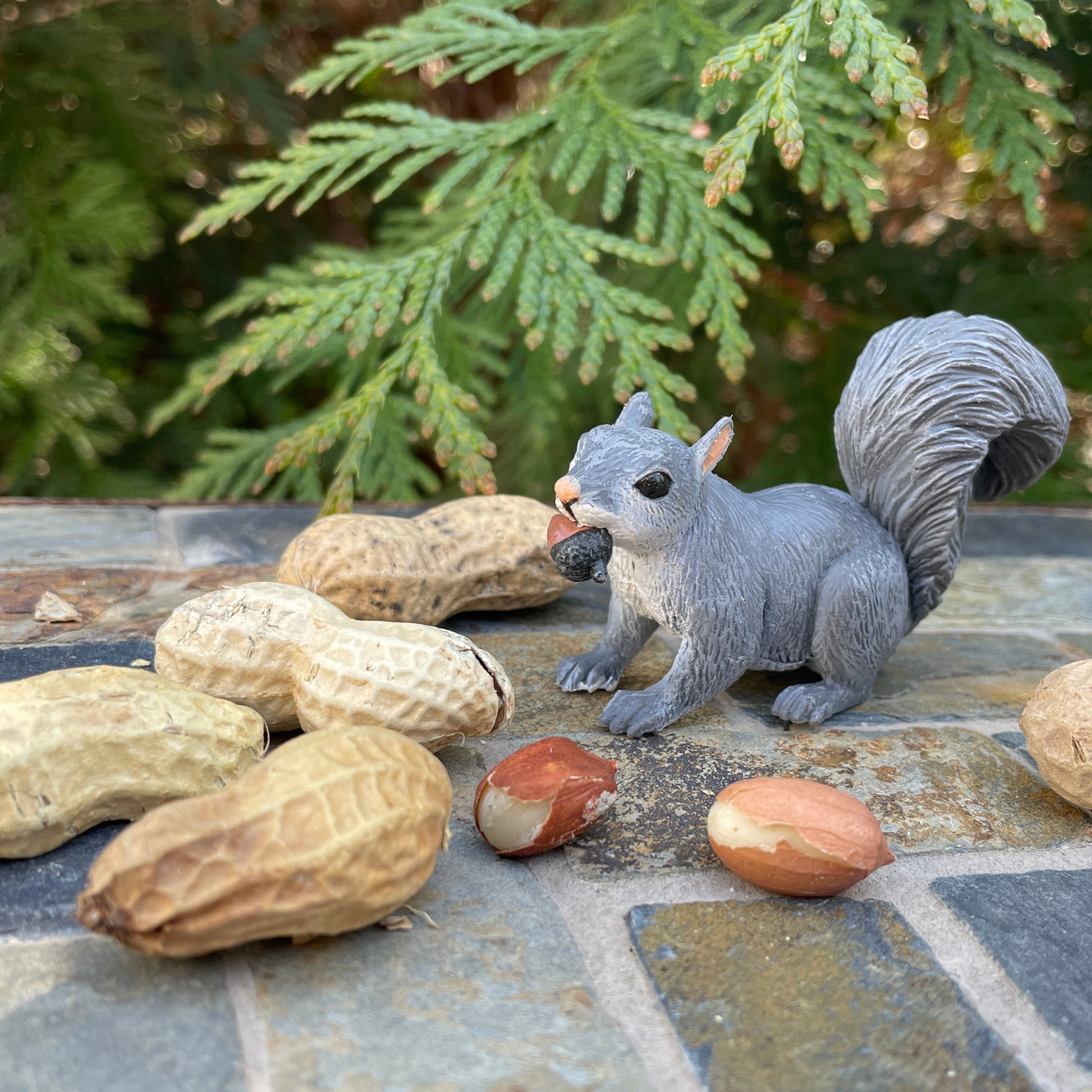 Gray Squirrel Toy